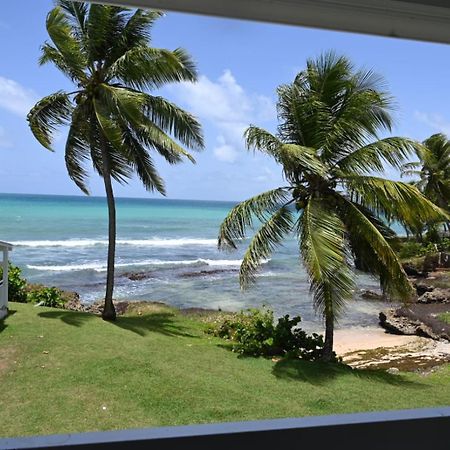 Studio Vue Sur Mer Fort D'Epee Le Gosier  Exterior foto